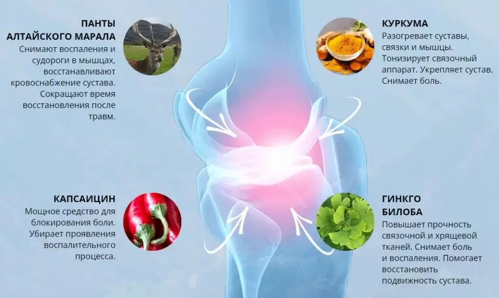 Состав мази для суставов Артекс (Artex)