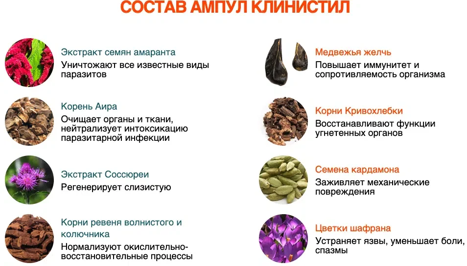 Состав препарата от паразитов Клинистил
