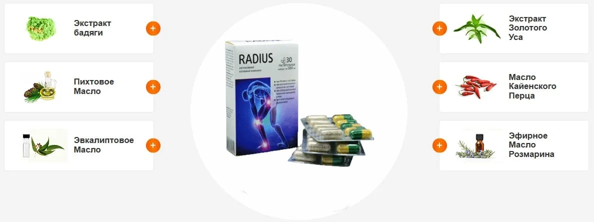 Состав средства Radius (Радиус) для суставов и связок