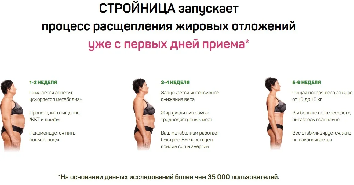 Препарат Стройница запускает процесс расщепления жировых отложений уже с первых дней приема